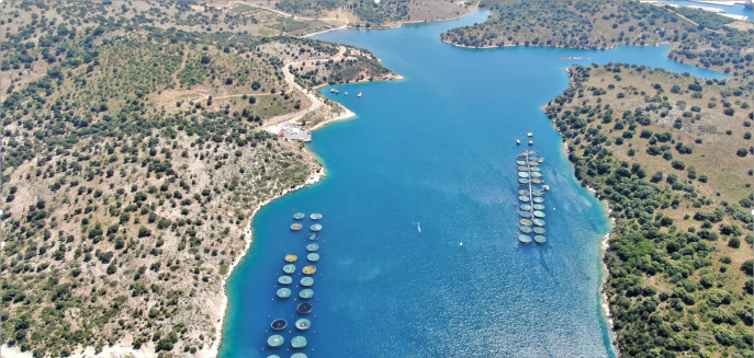 Οι ακτές της Αιτωλοακαρνανίας, θυσία στις ιχθυοκαλλιέργειες