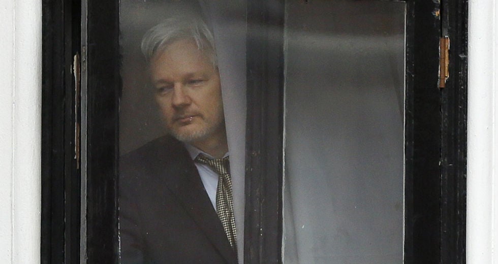 assange