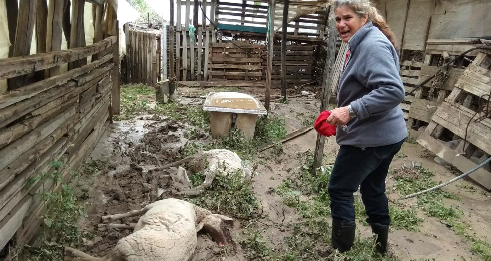 Ζητούν αποζημιώσεις, στις πληγείσες περιοχές ο Αρναουτάκης