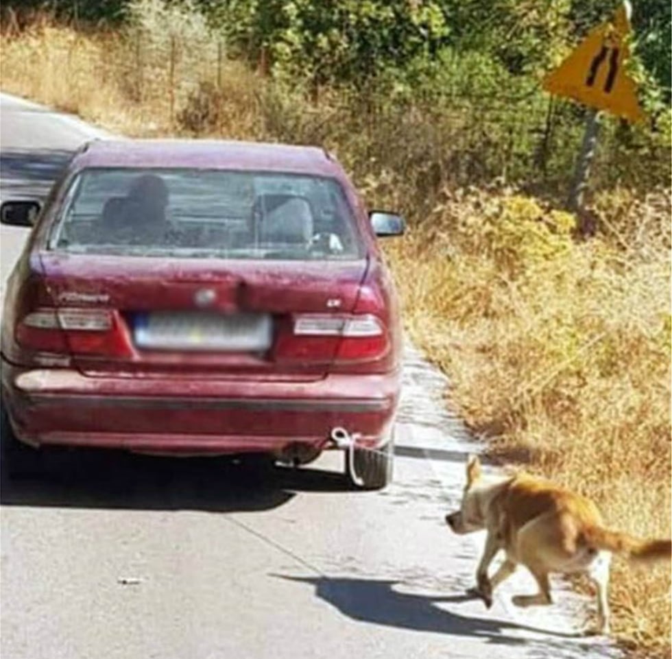 Ρέθυμνο: Συνελήφθη ο οδηγός που έσερνε σκυλί με το αμάξι του