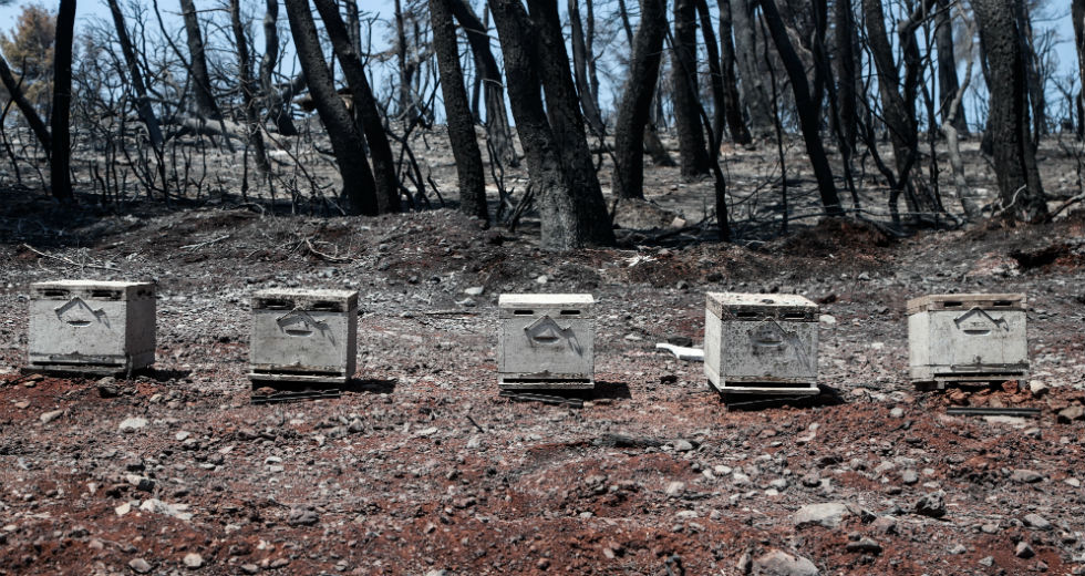 Κρανίου τόπος