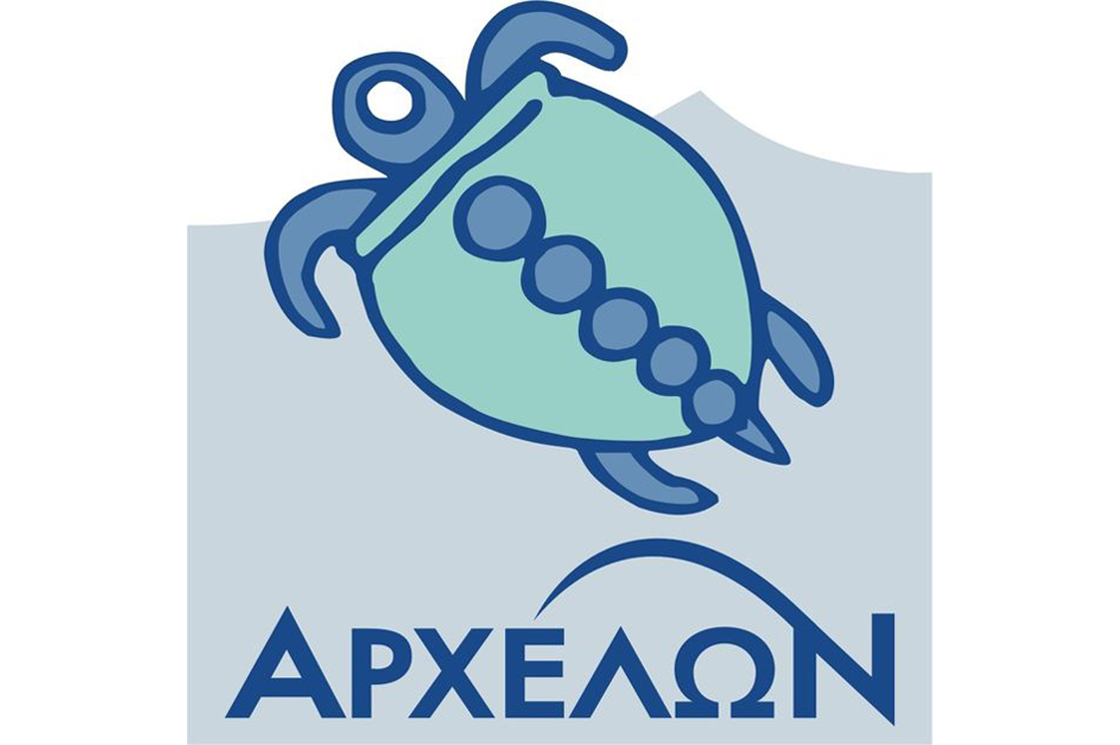 Διώξτε τη χελώνα καρέτα καρέτα…