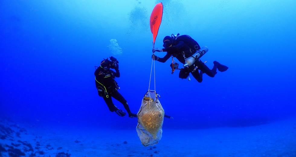 Nαυάγιο της Ρωμαϊκής περιόδου βρέθηκε στην υποβρύχια ερευνητική αποστολή στην Κάσο