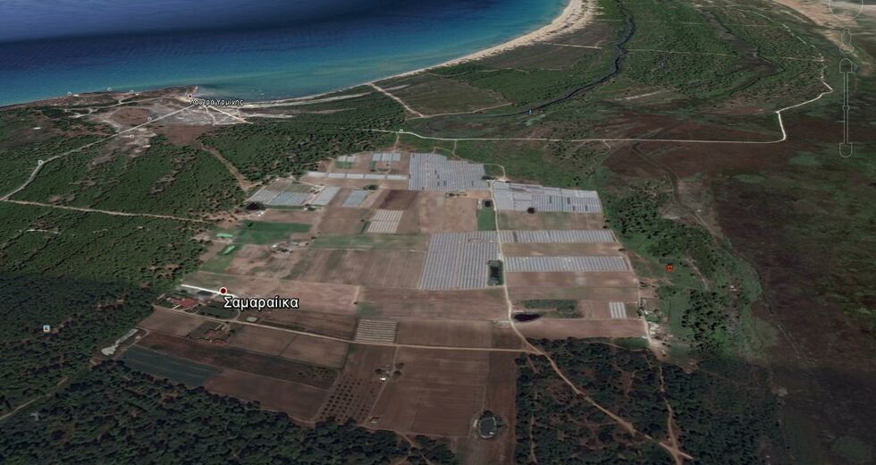 Καταπατούν 803 στρέμματα αναδασωτέας έκτασης