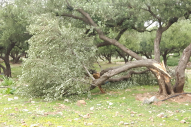 Χανιά: Kατεστραμμένα θερμοκήπια από τους ανέμους