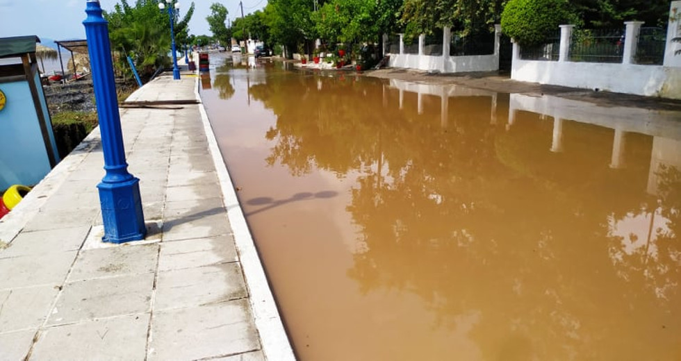 Αυτοψία της efsyn.gr στην Εύβοια – «Τα Πολιτικά τουλάχιστον για φέτος τέλειωσαν»