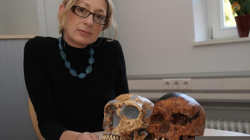Η έλευση των πρώτων Ηomo sapiens στην Ελλάδα