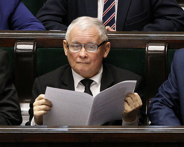 Πιο ενδιαφέρουσες… οι γάτες από τη συνεδρίαση της Βουλής