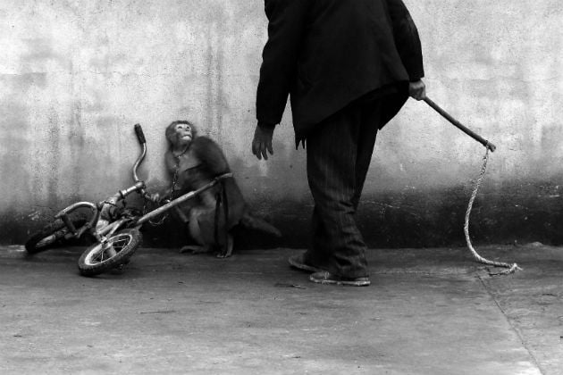 Βραβεία World Press Photo 2014