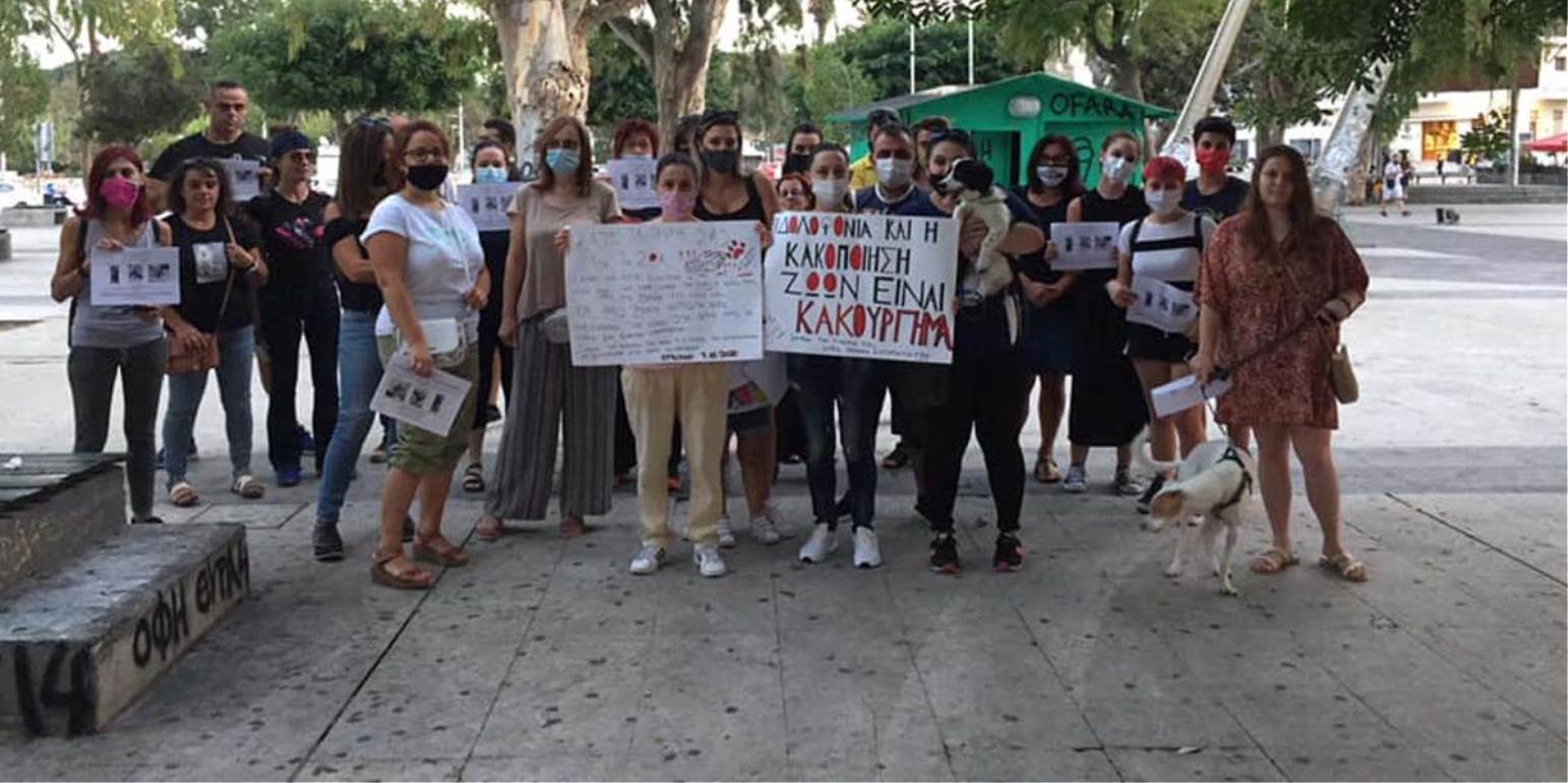 Κρήτη: Συγκεντρώσεις διαμαρτυρίας για τη νέα κακοποίηση ζώου