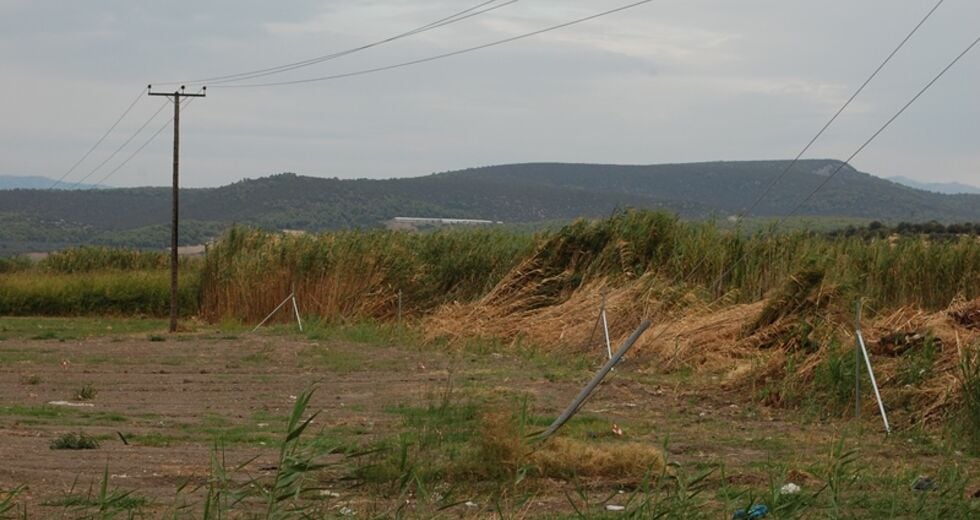 Φωτοβολταϊκά καταστρέφουν υγροβιότοπο