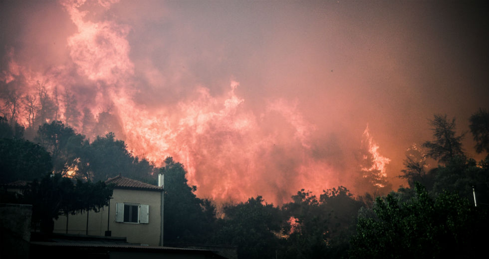 Κόλαση φωτιάς κατακαίει παρθένο πευκοδάσος στην Εύβοια