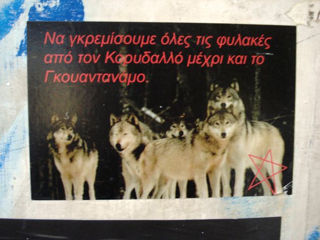 Γαλάτες και λύκοι