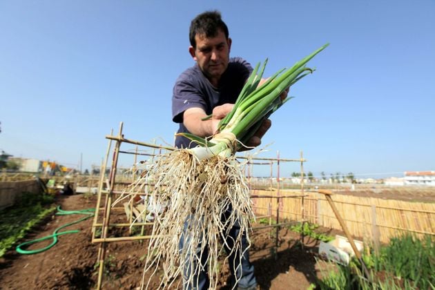 «Η ύπαιθρος έχει μεταλλαχθεί σε καταναλωτή επιδοτήσεων»
