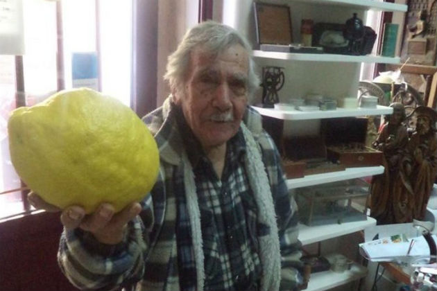 Γιγάντιο λεμόνι και πορτοκάλι στη Χίο [φωτο]