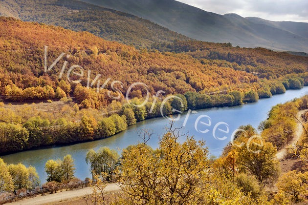 Σισάνι, Νάματα, Βλάστη