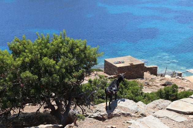 Μακρόνησος: «Ανυπεράσπιστη μνήμη»