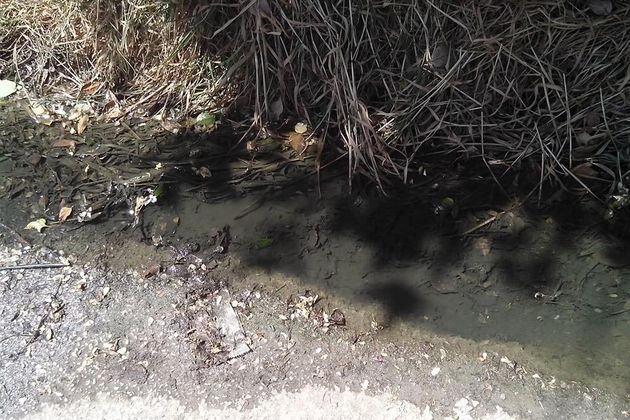 Γκλαμουριά και… βοθρολύματα