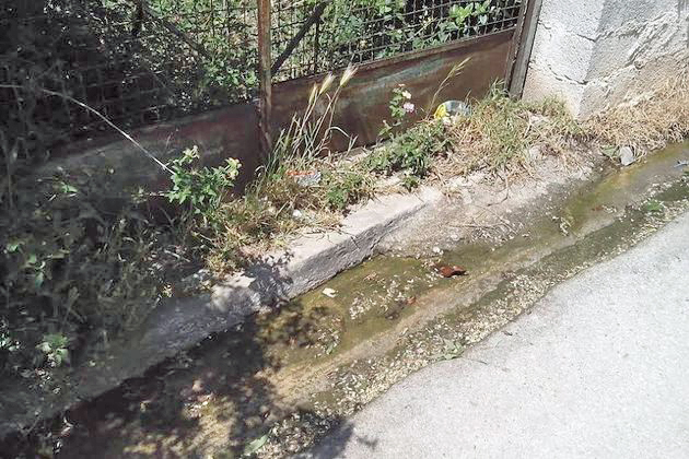 Γκλαμουριά και… βοθρολύματα