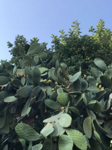 «Αρνούμαι να είμαι… αρνητικός»