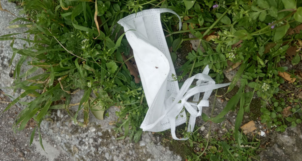 Κορονοσκουπίδια