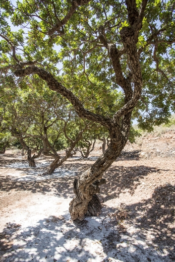 Μια άλλη προσέγγιση στην απώλεια βάρους