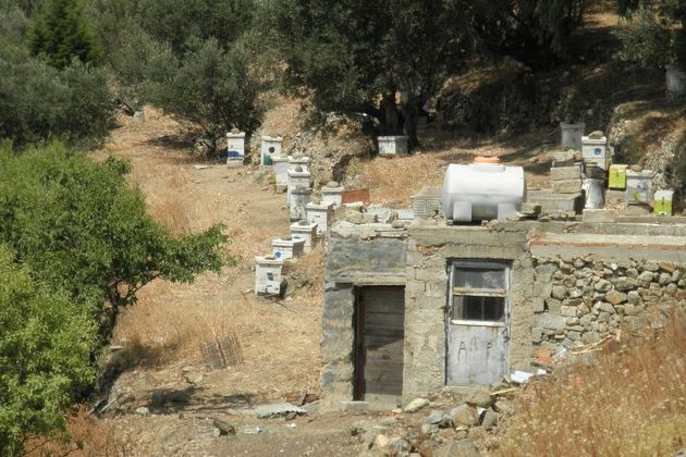 Προβλήματα και προοπτικές ανάπτυξης της μελισσοκομίας