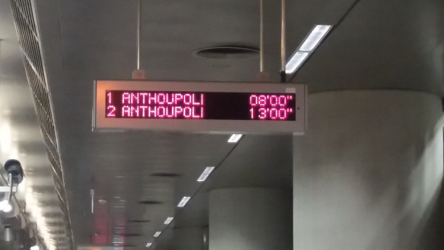 Τα ζώα μου αργά, με τον αραμπά