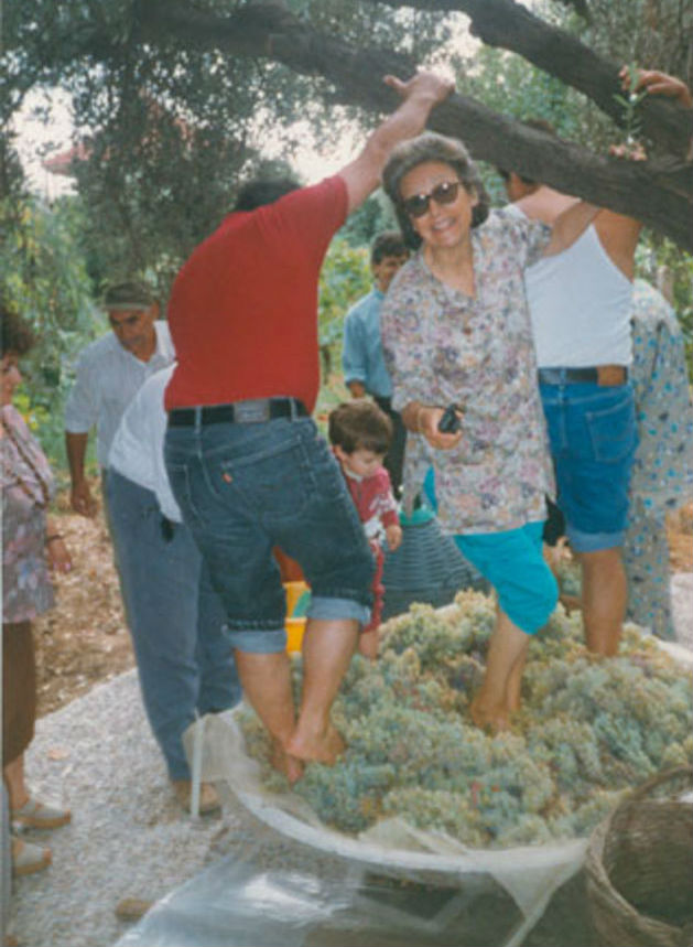 Μαθήματα ζωής