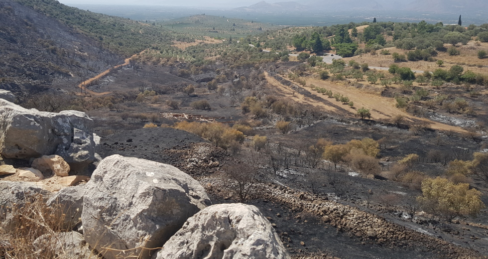 Αυτές είναι οι «μαυρισμένες» Μυκήνες της κ. Μενδώνη (φωτορεπορτάζ)