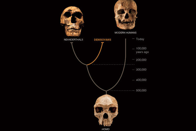 Μαθήματα Ιστορίας (ΙΙ) από το απολιθωμένο DNA