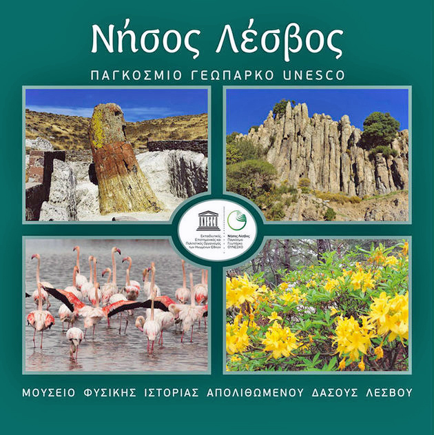 Το κάλλος της σε φωτογραφίες