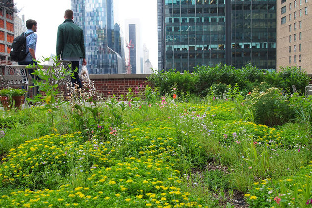 «Οι κηπουροί των Παρισίων»