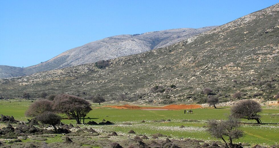 «Κόκκινη κάρτα» από το ΥΠΕΝ για τα αιολικά στη Σκύρο