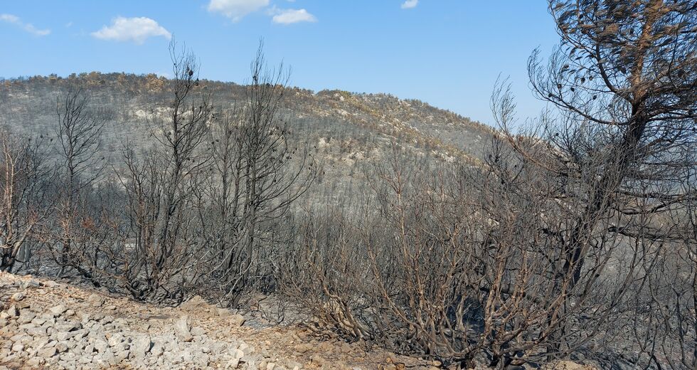 Ο ζήλος των εθελοντών πρόλαβε τα χειρότερα στα Βίλια