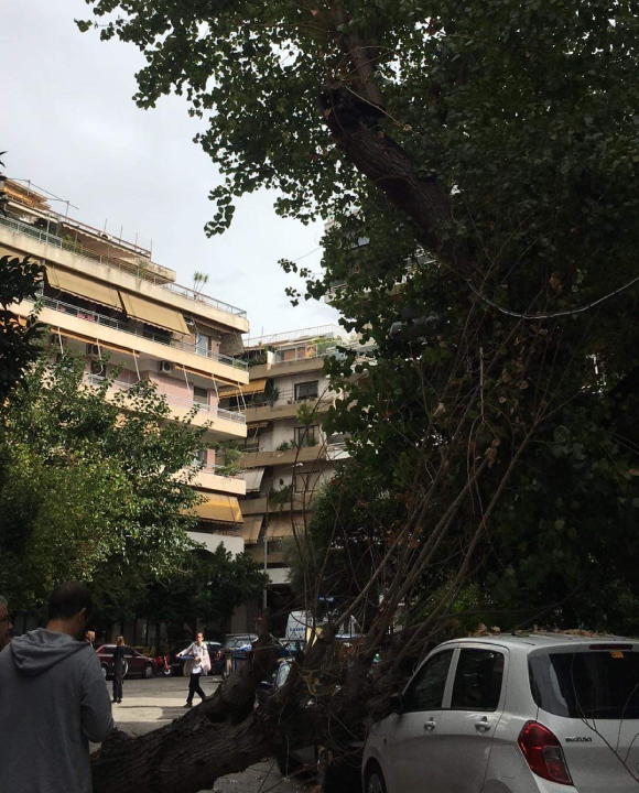 Πτώση δέντρου μέρα μεσημέρι στο Παγκράτι