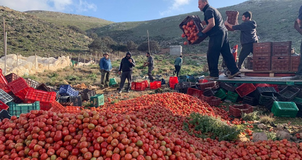 Για ζωοτροφές τα κηπευτικά της Κρήτης λόγω κορονοϊού