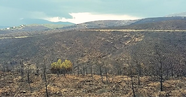 Πυριτιδαποθήκη η Αν. Αττική