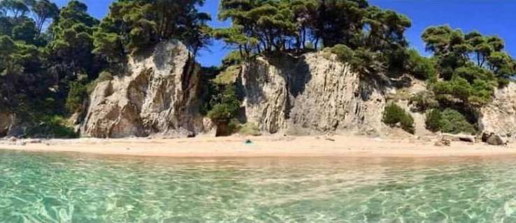 Εδωσαν σε ιδιώτες το δάσος της Βαλανιδορράχης