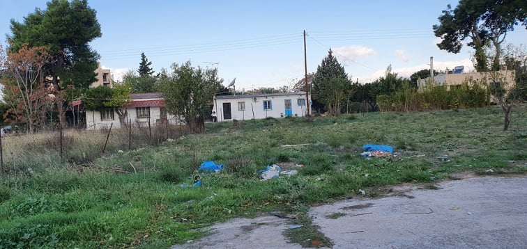 50 χρόνια μαραζώνει τo Πεύκο Πολίτη