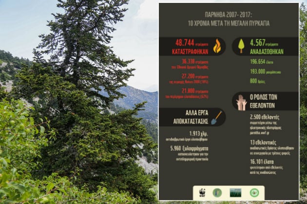 Η Πάρνηθα ξαναπρασίνισε, η πόλη αναπνέει