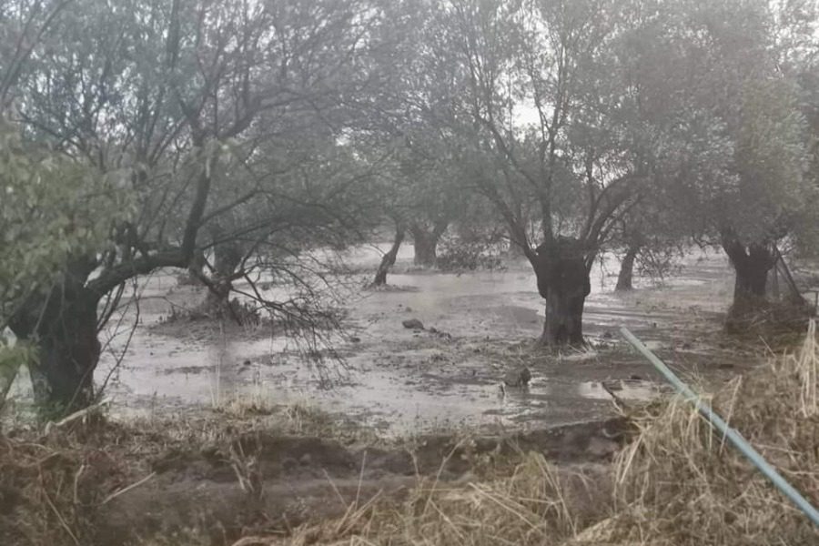 Μπουρίνι «έπνιξε» οικισμούς στο Μανταμάδο της Λέσβου