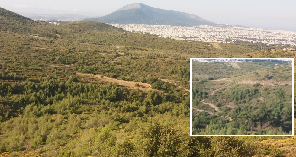Κροκοδείλια δάκρυα από τους «αρμοδίους» για την Πεντέλη