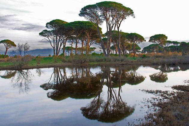 Προσεχώς… απροστάτευτες οι περιοχές NATURA