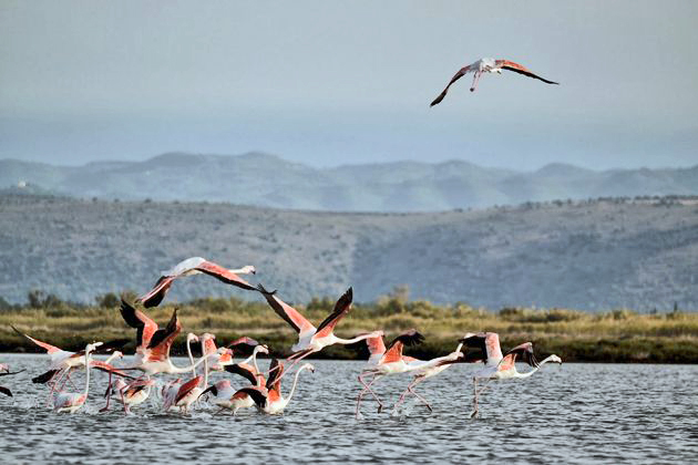 Προσεχώς… απροστάτευτες οι περιοχές NATURA