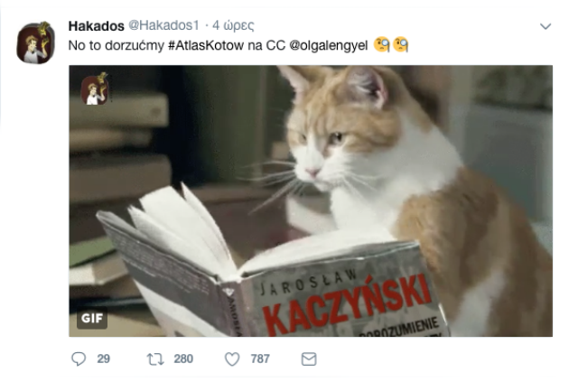Πιο ενδιαφέρουσες… οι γάτες από τη συνεδρίαση της Βουλής