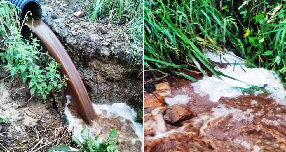Δυστυχώς, η κότα δεν έκανε μόνο… χρυσά αυγά
