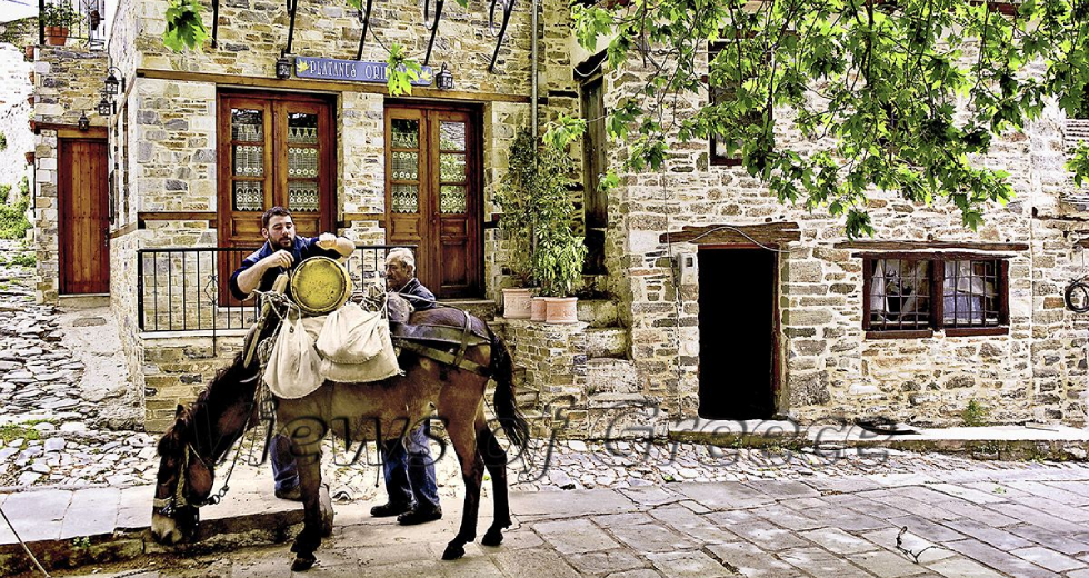 Δράκεια και Άγιος Λαυρέντιος, οδοιπορικό σε δυο χαμηλών τόνων χωριά του Πηλίου