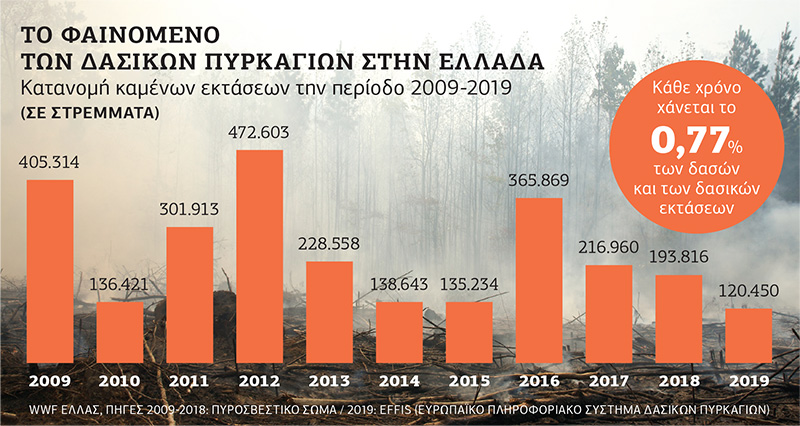 «Χρυσές» αναδασώσεις σε δεκατρείς περιοχές