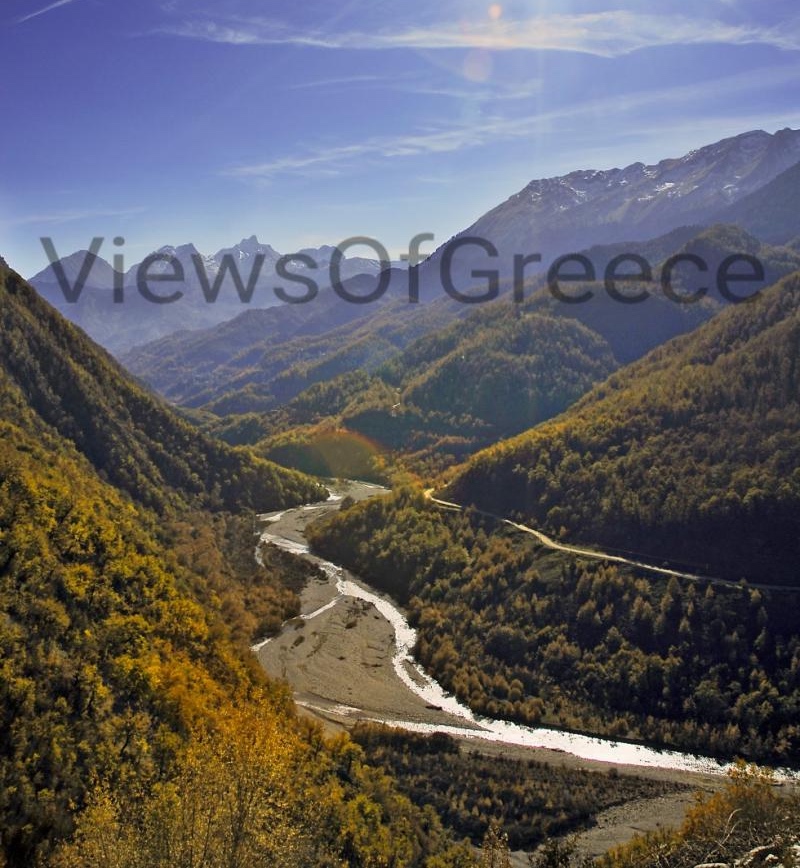 Είναι ακόμη ζωντανοί